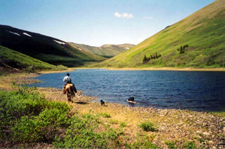 Canada-Yukon-Yukon Wildlife Safari on Horseback